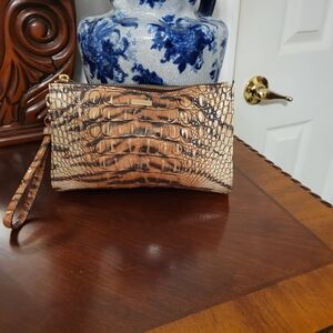 Brahmin Daisy In Feline Hermosa